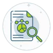 Investment Portfolio Comparison Project